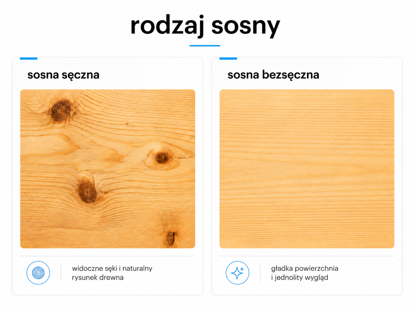 Rodzaje sosny